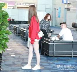 娱乐吃瓜君杜海涛沈梦辰,娱乐圈的甜蜜搭档，揭秘他们的爱情故事